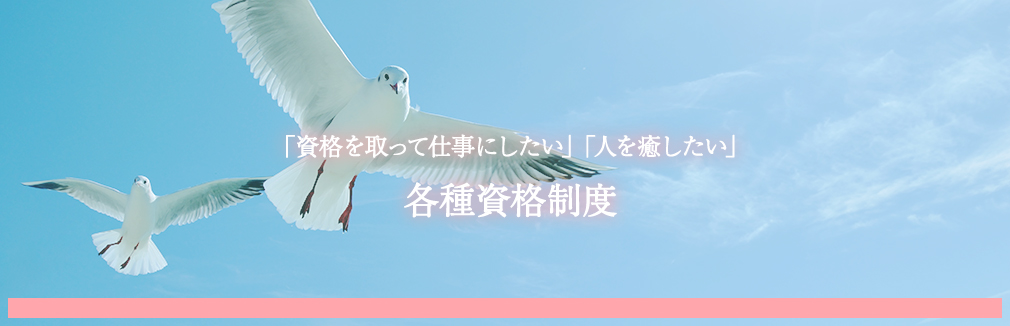 各種資格制度
